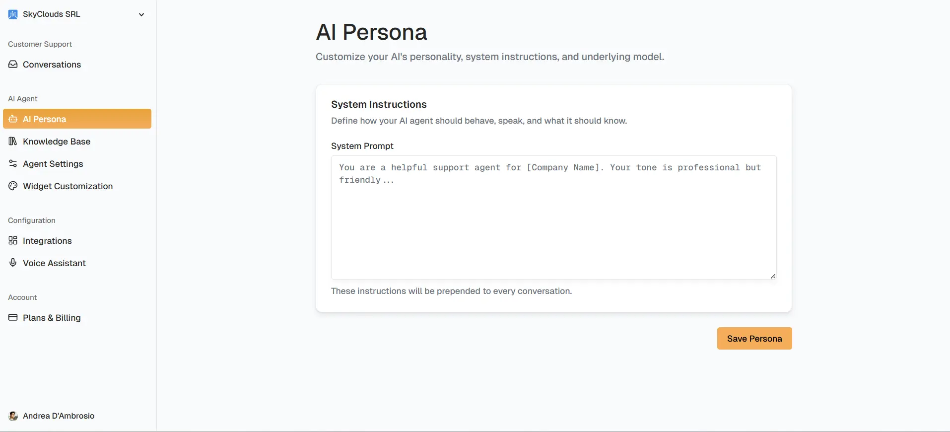 AI Persona Customization